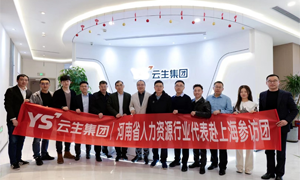拓思路，促发展！河南省人力资源行业代表赴上海参访团莅临云顶集团3118集团交流访问